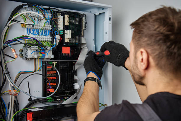 Licensed Electrical Panel Upgrade service in Lake of the Woods, IL - No Joke electrician